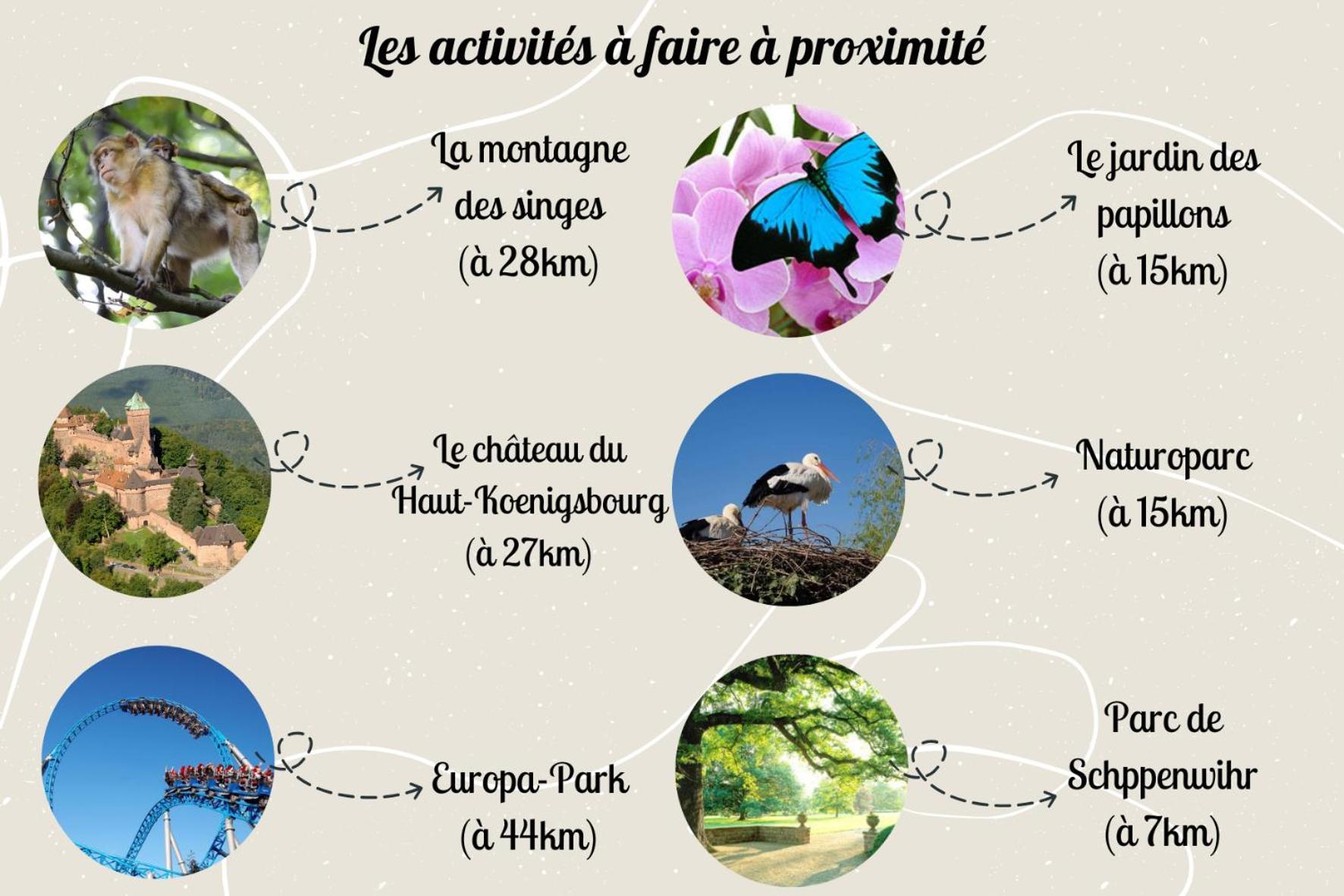 Le Rosacker - Proche Centre Ville Et Gare - Terrasse - Parking Gratuit 2 Places - 2 Chambres - 2 Salles De Bain - Netflix กอลมาร์ ภายนอก รูปภาพ